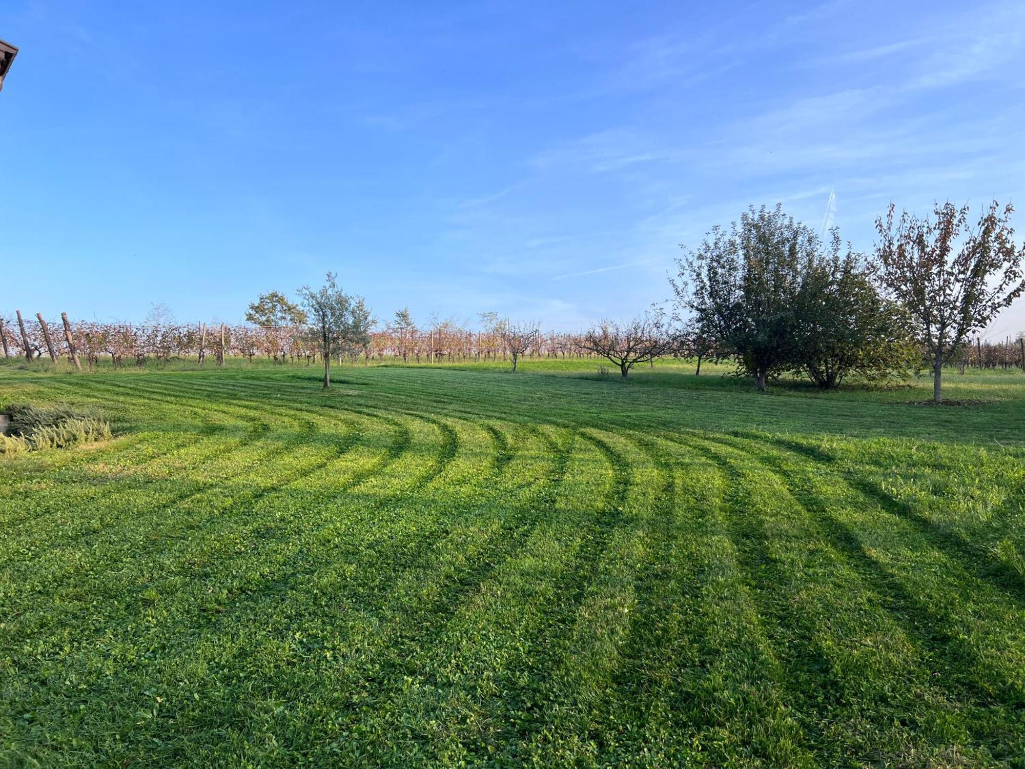 Al Vigneto Villa Vigolzone Exterior foto